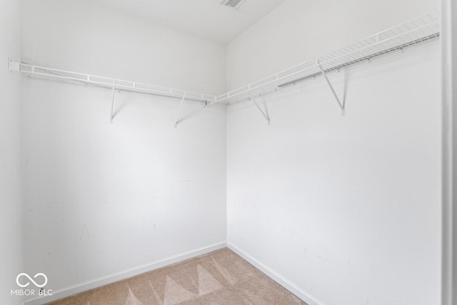 5817 Thompson Park Blvd, Indianapolis, IN 46237 - walk in closet with light carpet and visible vents