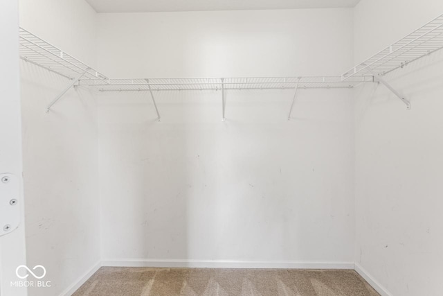 5817 Thompson Park Blvd, Indianapolis, IN 46237 - walk in closet featuring carpet floors