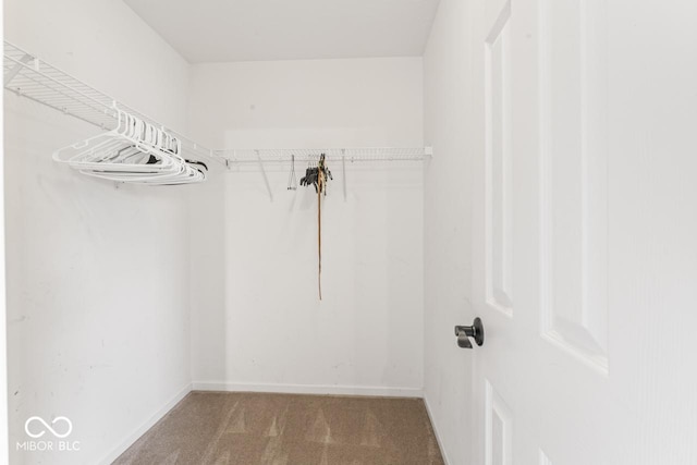 5817 Thompson Park Blvd, Indianapolis, IN 46237 - walk in closet featuring carpet
