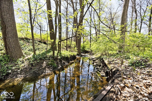 view of landscape