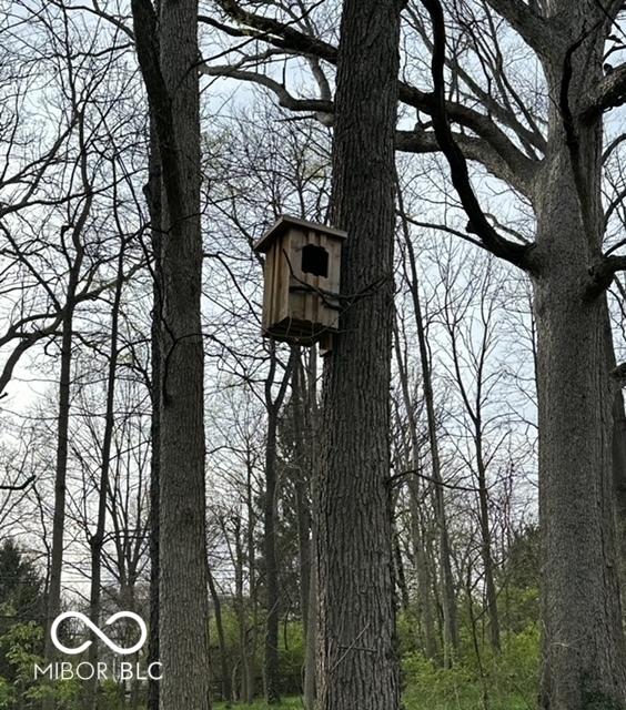 details with a wooded view
