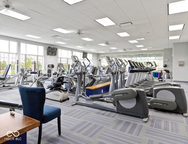 12907 Shiraz Ln, Fishers, IN 46037 - workout area featuring carpet floors and a paneled ceiling