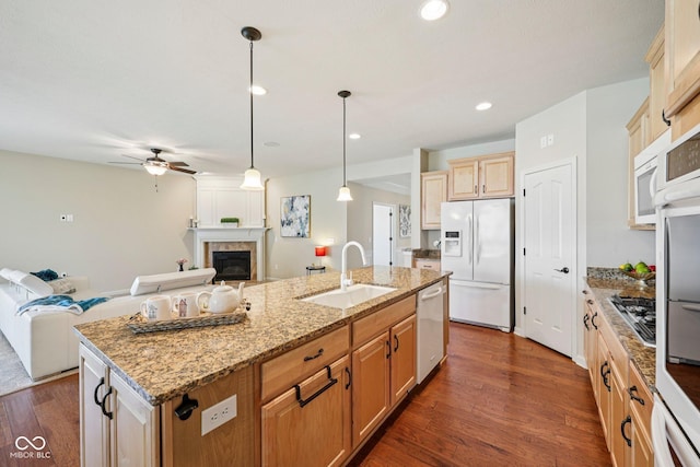 12907 Shiraz Ln, Fishers, IN 46037 - kitchen featuring appliances with stainless steel finishes, a sink, open floor plan, a glass covered fireplace, and ceiling fan