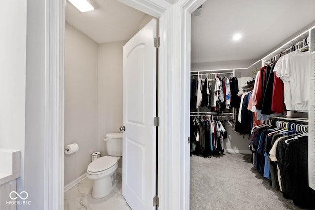 view of spacious closet