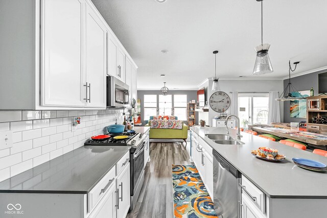 kitchen featuring stainless steel appliances, a sink, wood finished floors, healthy amount of natural light, and ornamental molding