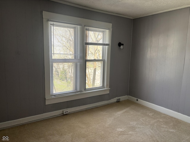 unfurnished room featuring wooden walls, baseboards, light carpet, and a textured ceiling