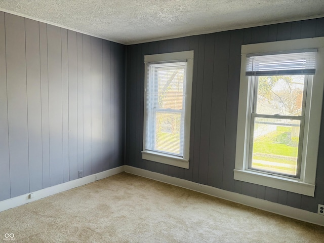 unfurnished room featuring baseboards, light carpet, and a textured ceiling