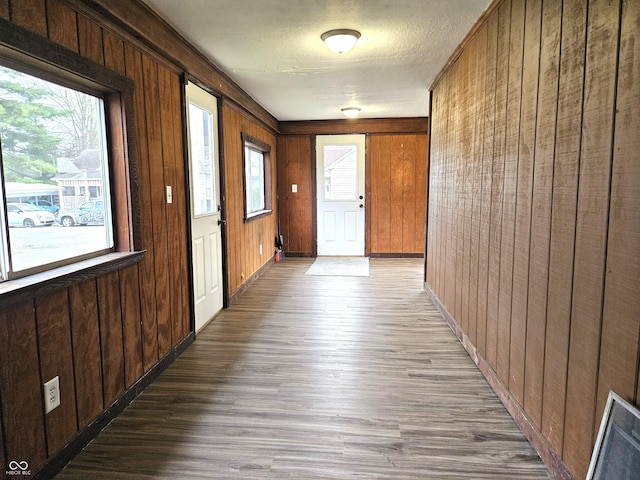 corridor featuring wooden walls, baseboards, wood finished floors, and a healthy amount of sunlight