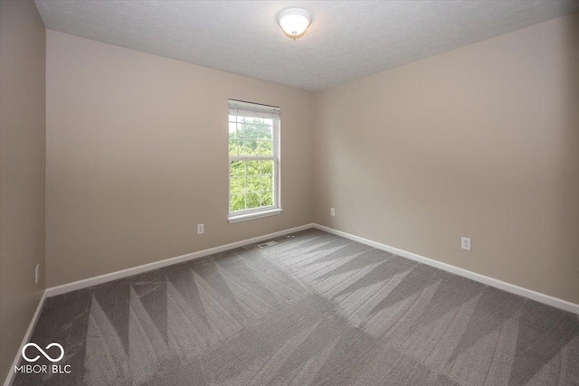 11648 Stickney Ct, Fishers, IN 46037 - carpeted empty room featuring baseboards and a textured ceiling