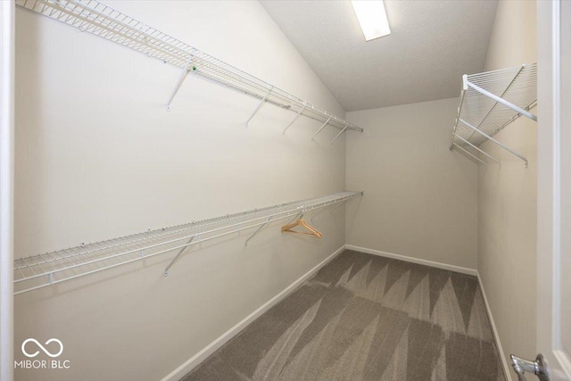 11648 Stickney Ct, Fishers, IN 46037 - spacious closet featuring carpet floors and lofted ceiling