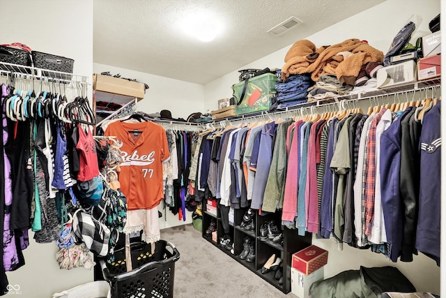 950 Redwood Dr, Franklin, IN 46131 - spacious closet with carpet