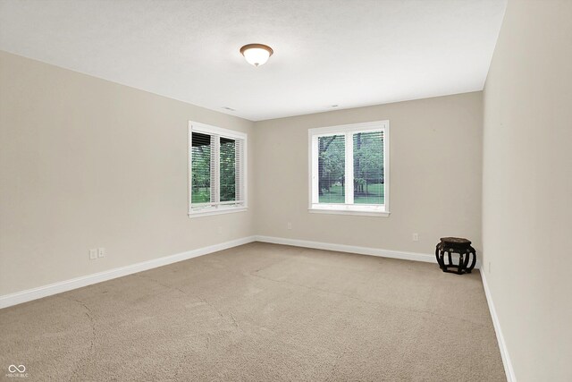13758 Foxdale Lake Dr, Carmel, IN 46032 - photo 50