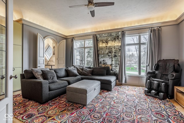 290 Breakwater Dr, Fishers, IN 46037 - living room featuring ceiling fan, plenty of natural light, and crown molding