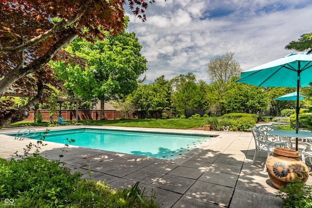 290 Breakwater Dr, Fishers, IN 46037 - view of swimming pool with a fenced backyard, a patio, and view of scattered trees