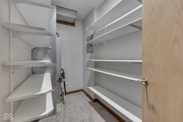 8160 Bold Forbes Ct, Indianapolis, IN 46217 - view of storage area