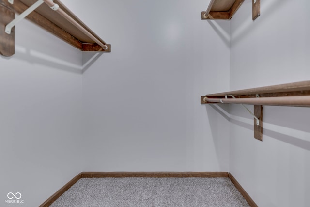 8160 Bold Forbes Ct, Indianapolis, IN 46217 - walk in closet with carpet floors
