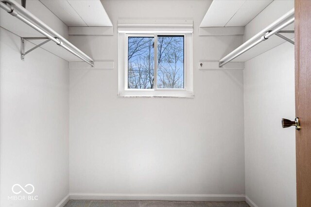 315 Heritage Ct, Fishers, IN 46038 - view of spacious closet