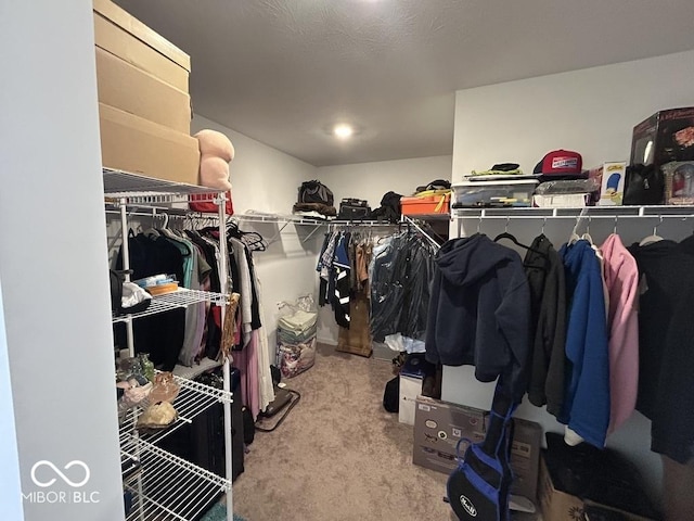 1573 Vera Blvd, Danville, IN 46122 - walk in closet with carpet