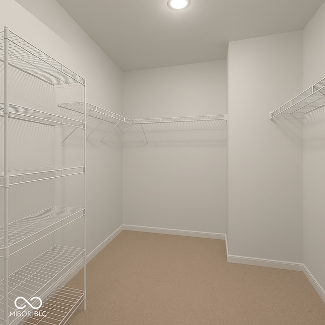 1573 Vera Blvd, Danville, IN 46122 - spacious closet featuring carpet floors