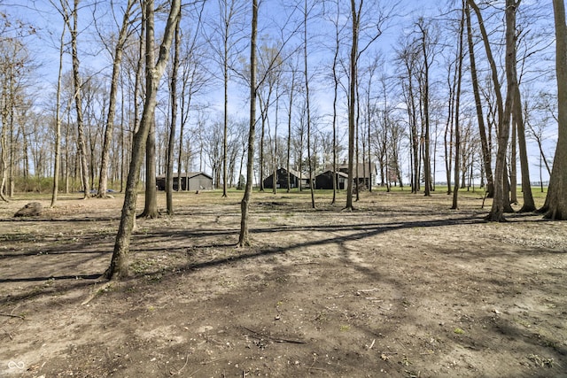2790 W 50th St, Marion, IN 46953 - view of yard