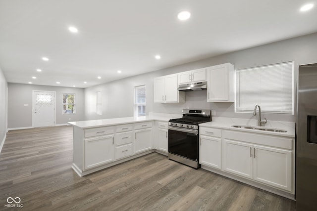 kitchen with appliances with stainless steel finishes, a sink, light countertops, a peninsula, and under cabinet range hood