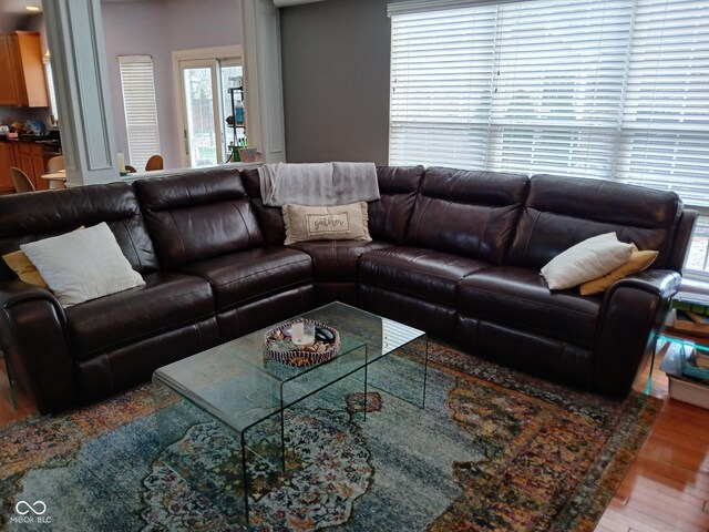 5983 Clearview Dr, Carmel, IN 46033 - living room featuring wood finished floors and a healthy amount of sunlight