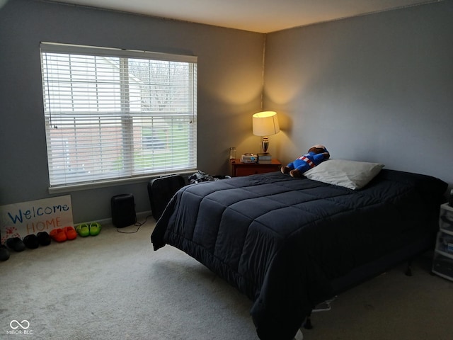 5983 Clearview Dr, Carmel, IN 46033 - view of carpeted bedroom