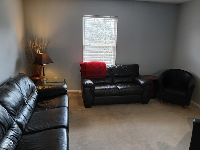 5983 Clearview Dr, Carmel, IN 46033 - living room featuring baseboards and carpet floors