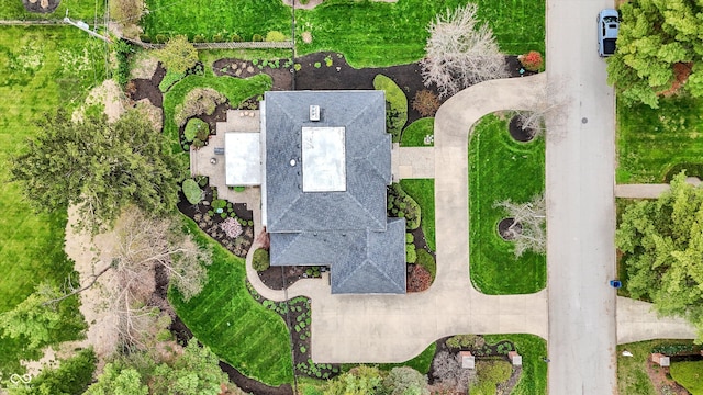 drone / aerial view
