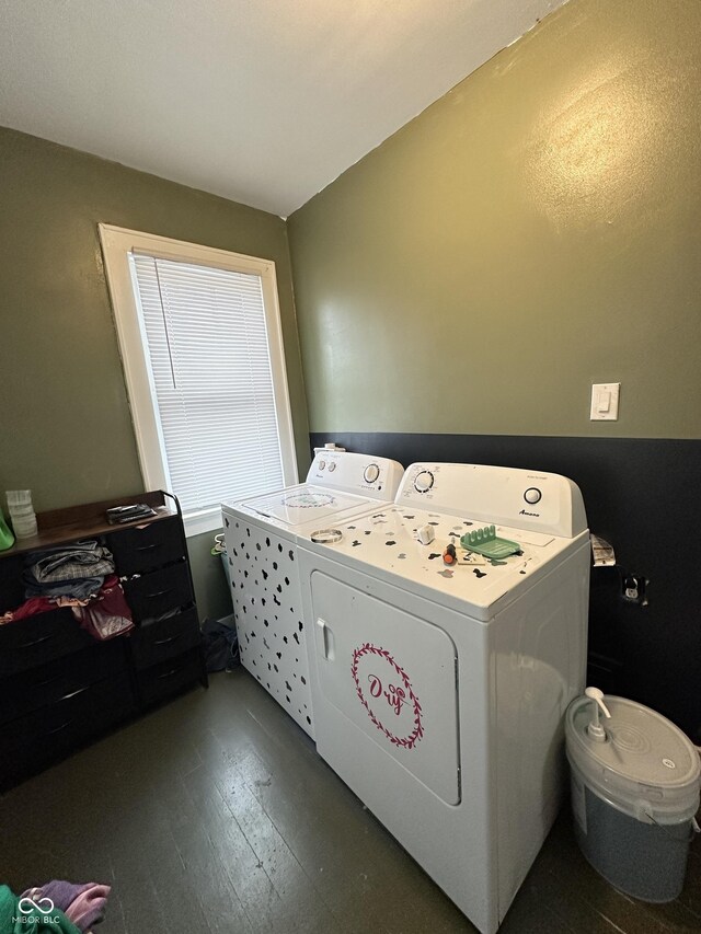 washroom featuring dark wood-style flooring, separate washer and dryer, and laundry area