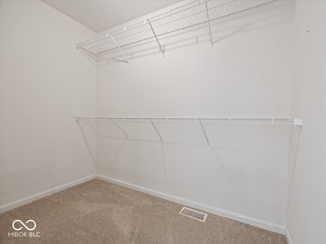 spacious closet featuring carpet flooring and visible vents