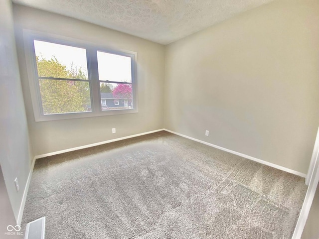 110 Renee Dr, Ellettsville, IN 47429 - unfurnished room with carpet floors and a textured ceiling