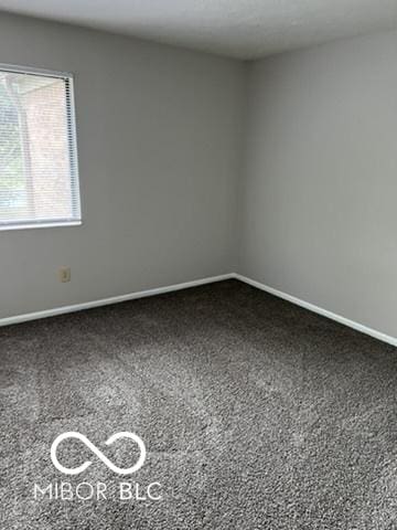4311 Village Parkway Cir W Unit 6, Indianapolis, IN 46254 - spare room with baseboards and carpet floors