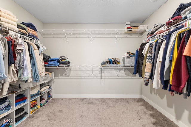 8673 Laurelton Pl, Brownsburg, IN 46112 - spacious closet featuring carpet floors