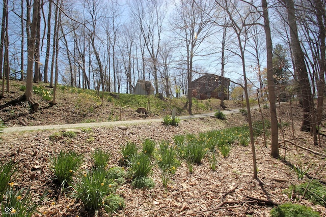 view of landscape