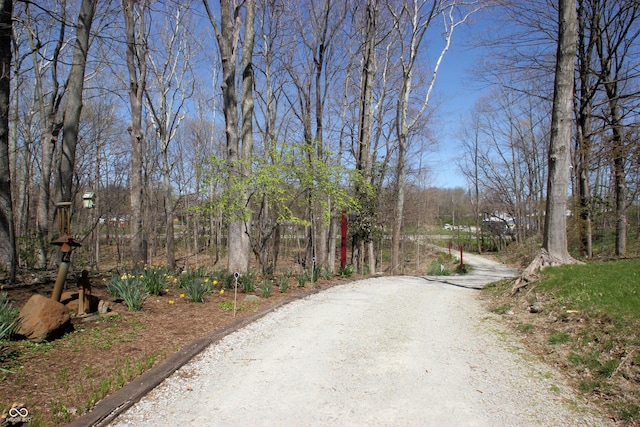 view of road