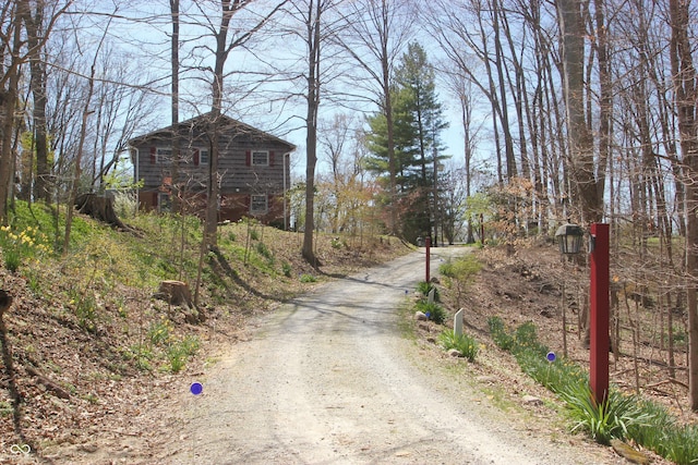 view of road with driveway