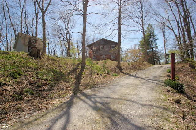 view of road featuring dirt driveway