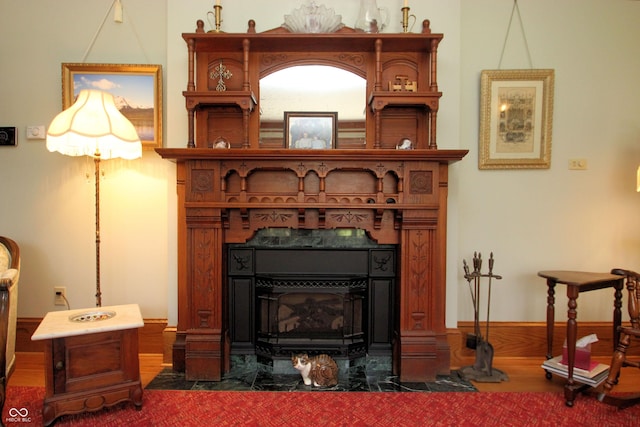 interior details featuring a fireplace with flush hearth