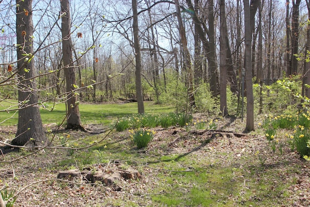view of nature