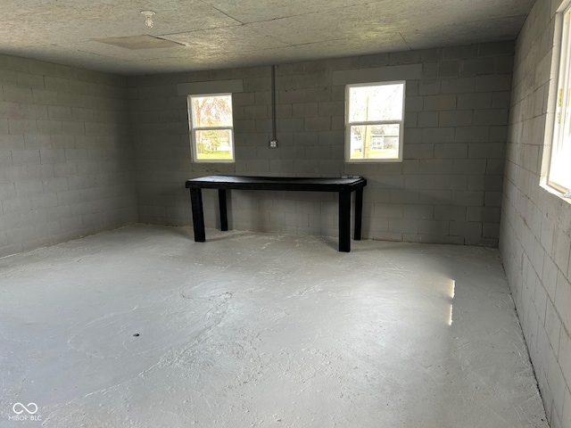 103 N Nebraska St, North Salem, IN 46165 - basement with concrete block wall