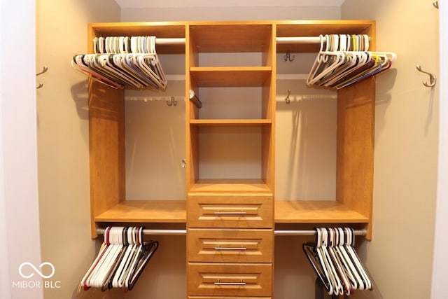 view of closet