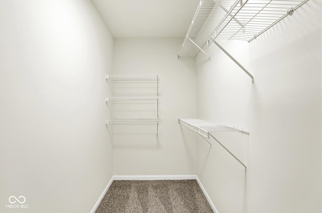 2764 Glade Ave, Plainfield, IN 46168 - spacious closet featuring carpet flooring