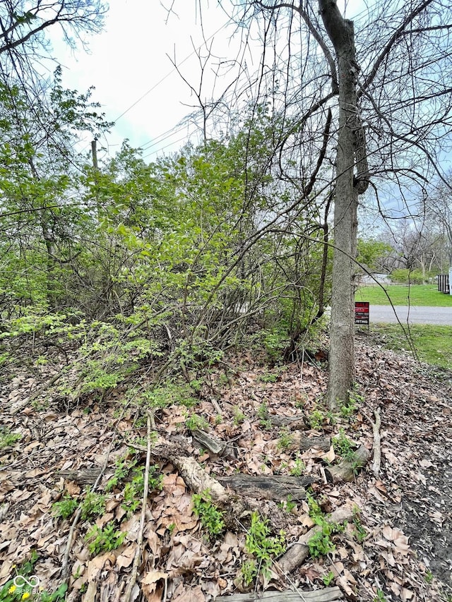 7425 Mount Herman Ave, Indianapolis, IN 46231 - photo 3