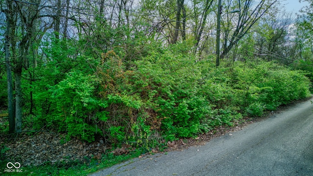7425 Mount Herman Ave, Indianapolis, IN 46231 - photo 1