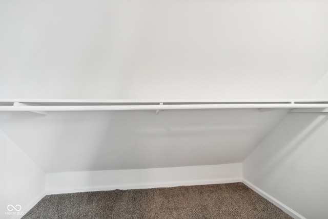 2114 N Dexter St, Indianapolis, IN 46202 - spacious closet featuring carpet