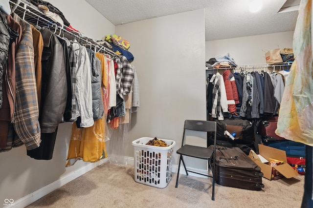 621 Fireside Dr, Greenwood, IN 46143 - spacious closet with carpet floors
