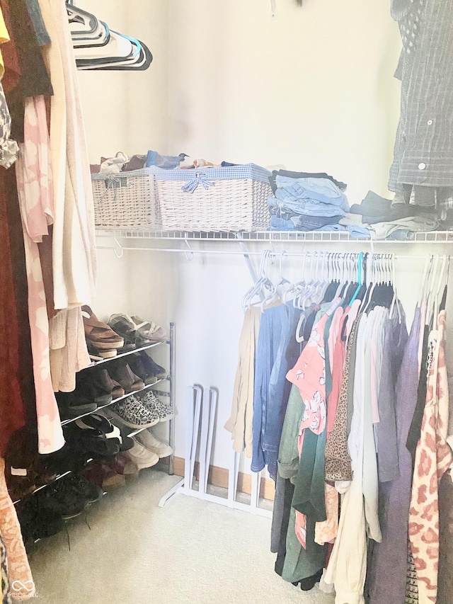 spacious closet featuring carpet floors
