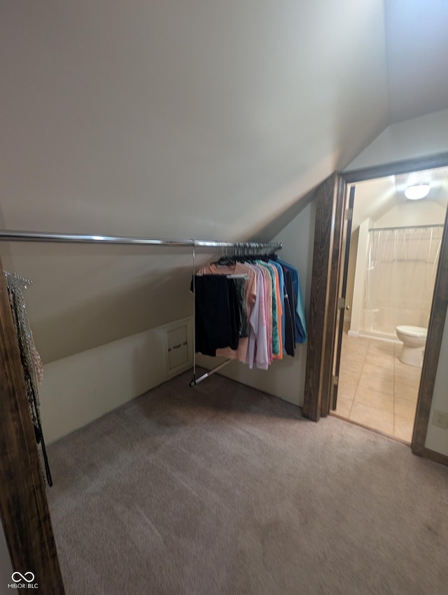 8017 Dogwood Ct, Plainfield, IN 46168 - spacious closet featuring lofted ceiling and carpet floors