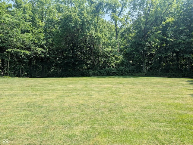 8017 Dogwood Ct, Plainfield, IN 46168 - view of grassy yard